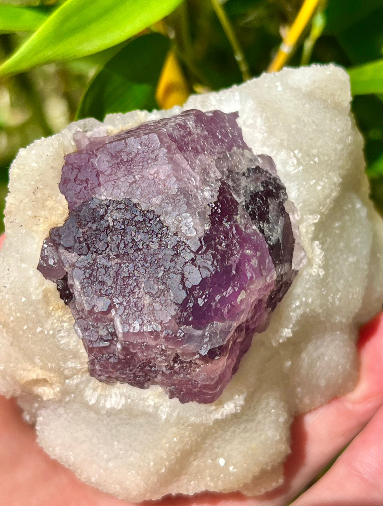Purple fluorite with sugar calcite specimen