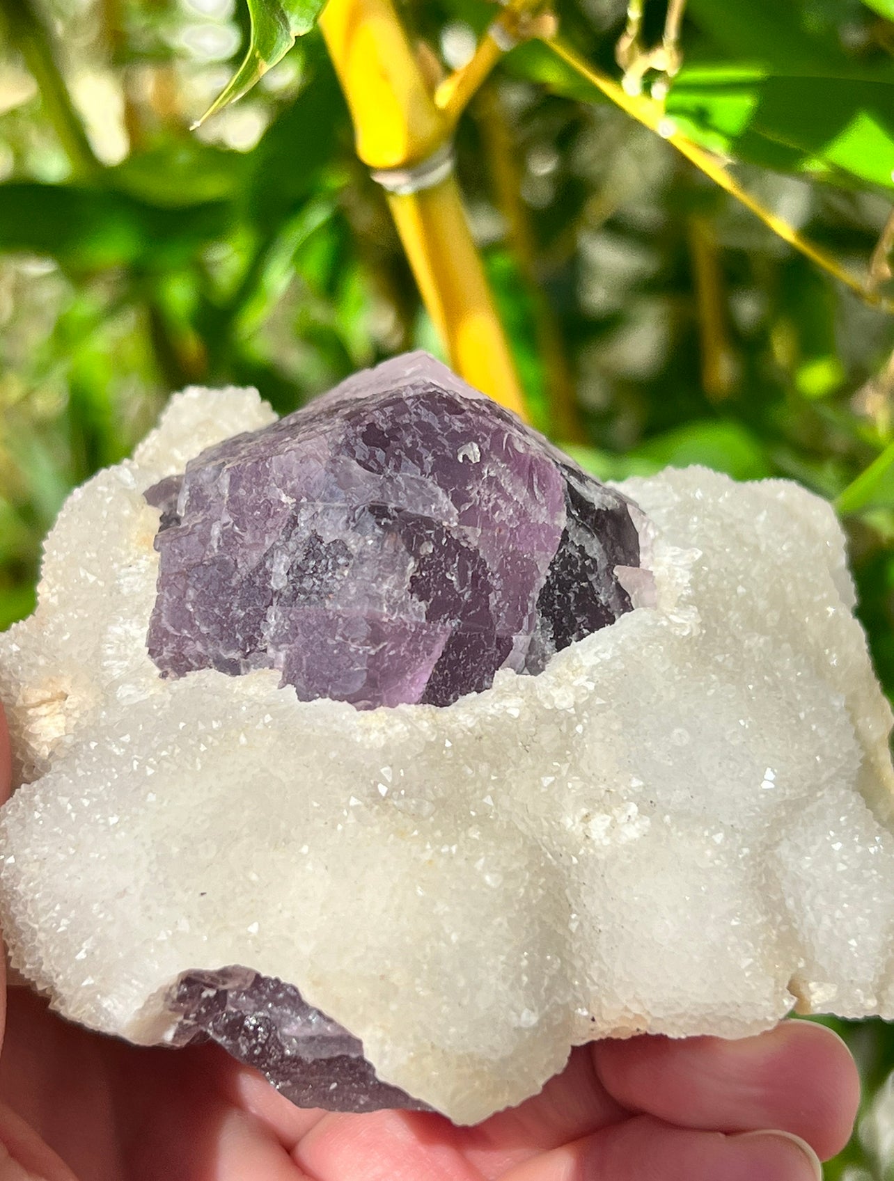 Purple fluorite with sugar calcite specimen