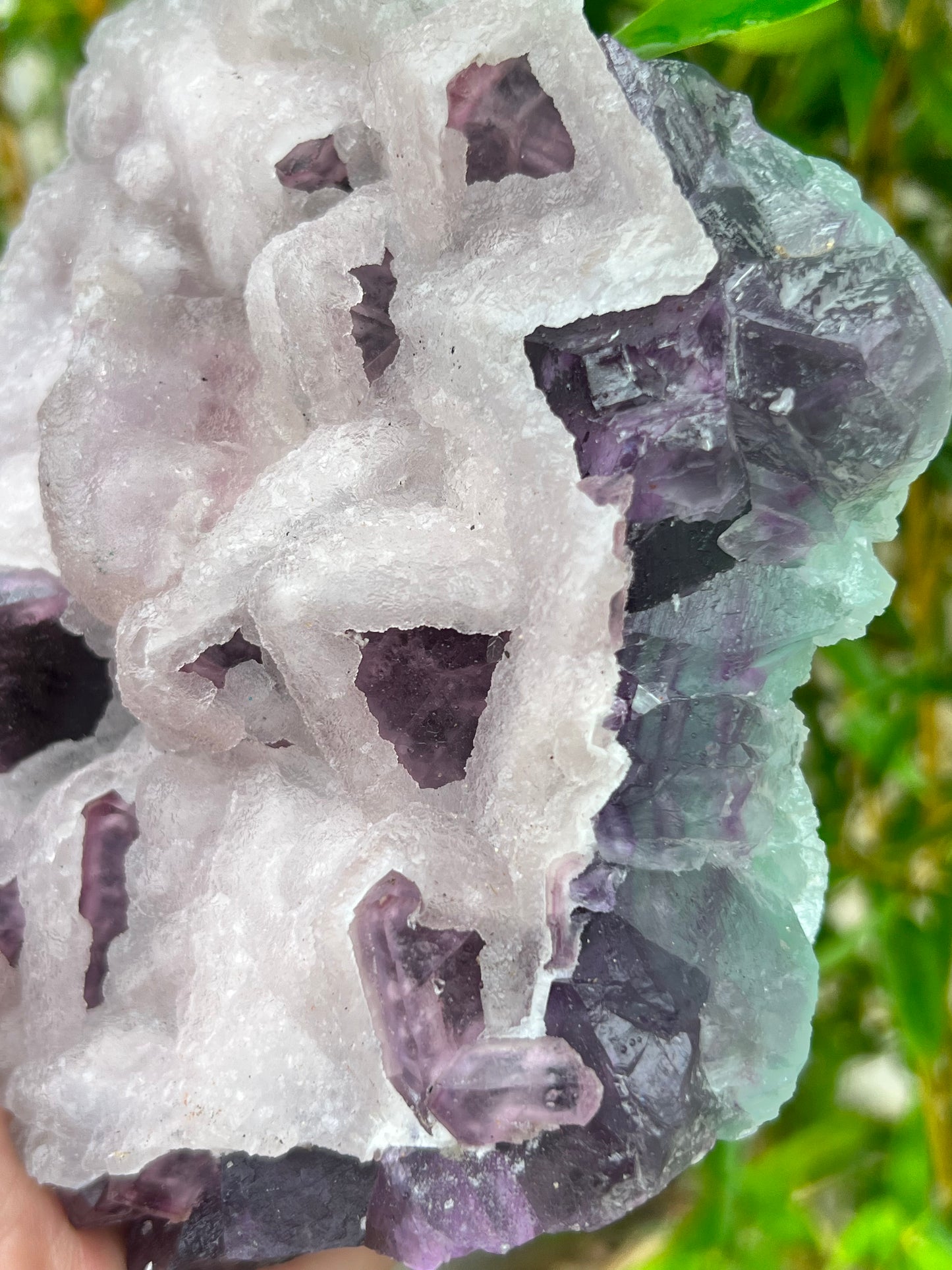 Rare Transparent Purple Cube fluorite Specimen